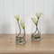 10.5" White Double Calla Lily with Cylinder Vase, 2ct.